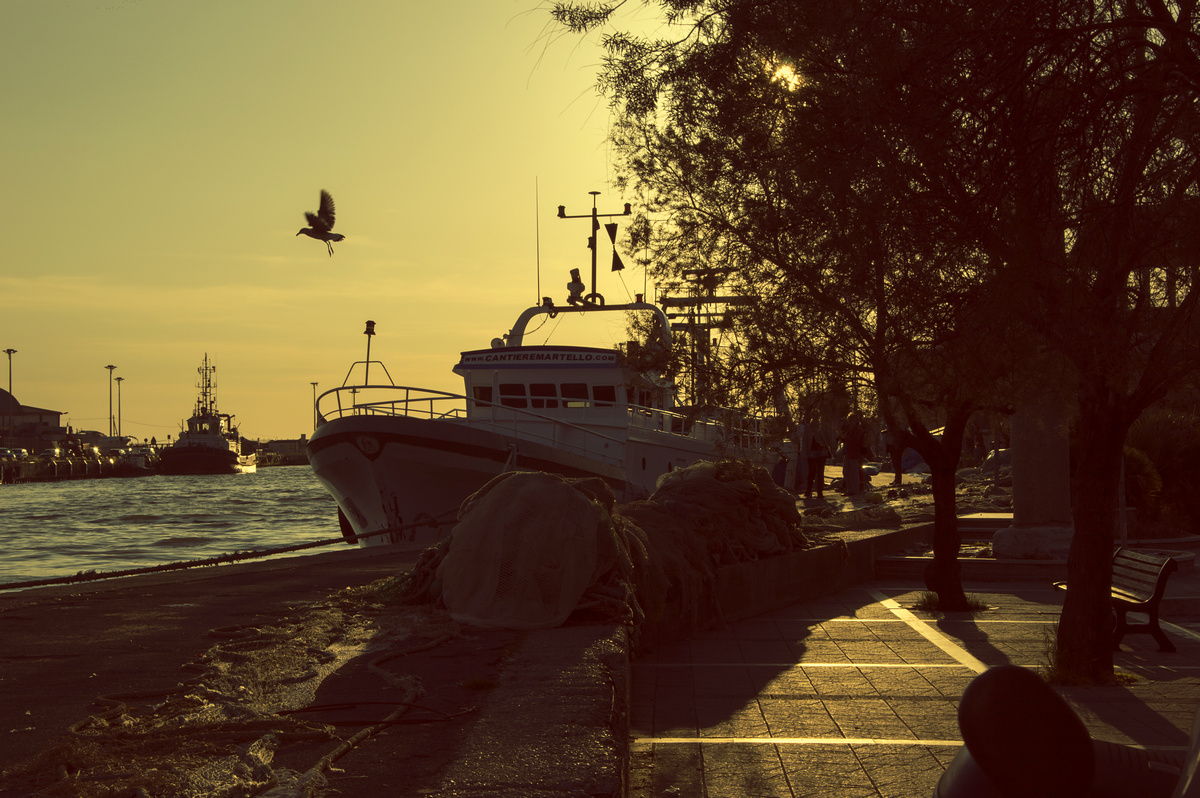 lm_dsc_0038.jpg