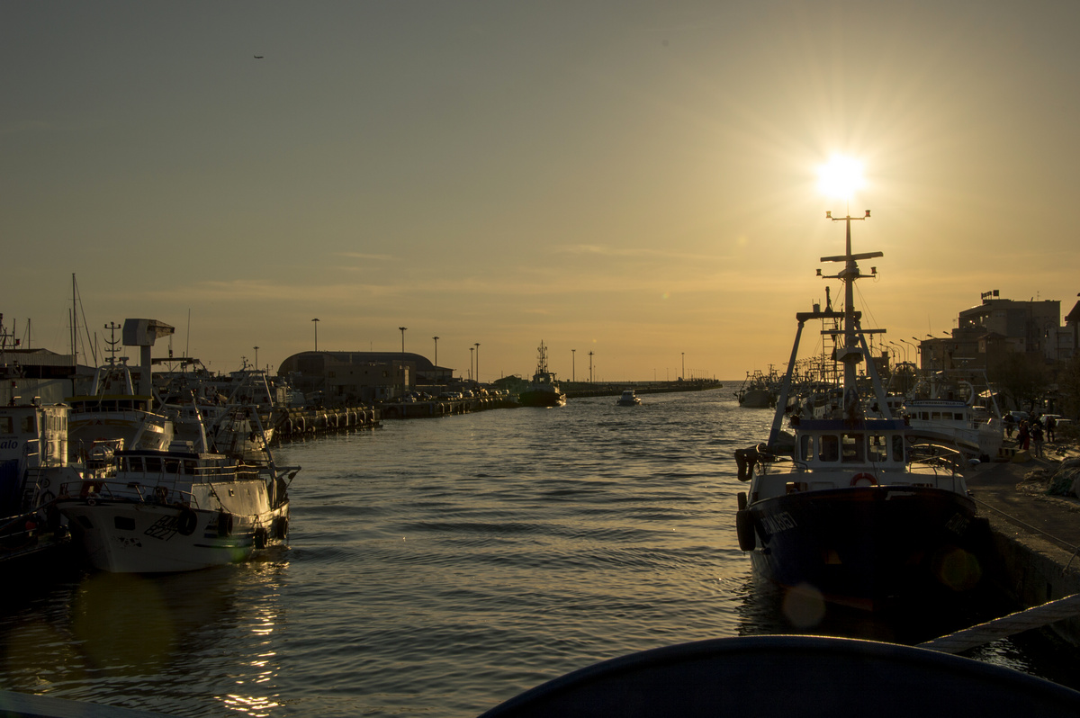 lm_dsc_0051.jpg