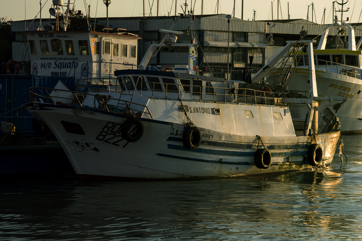 lm_dsc_0055.jpg