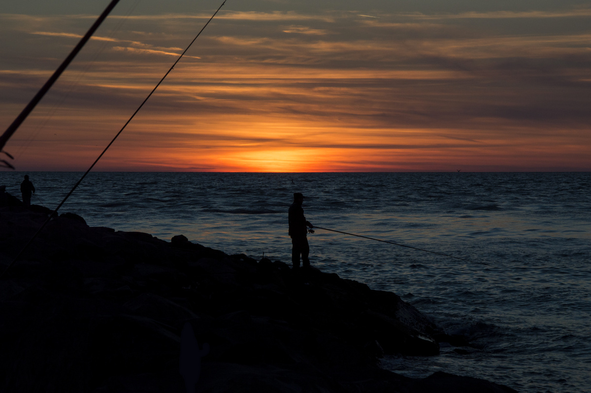 lm_dsc_0159.jpg