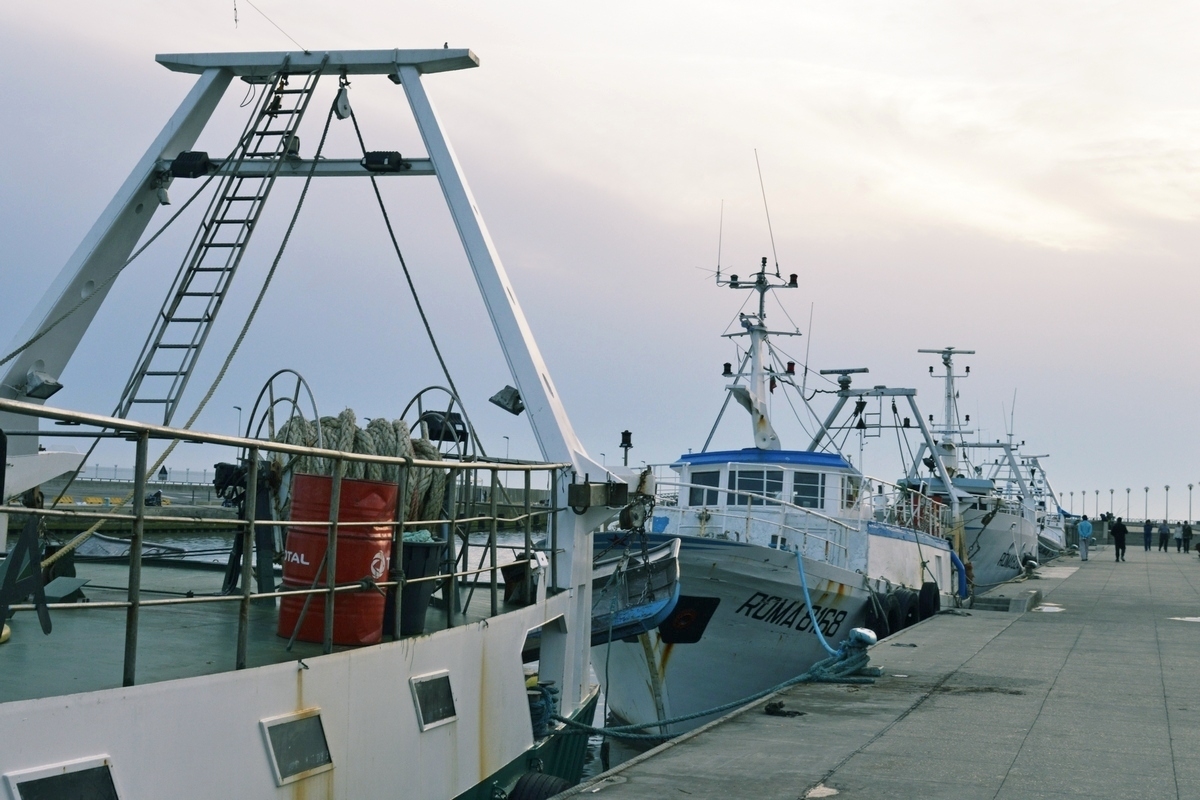 GI_Caffarelli_DSC0171_ok.JPG