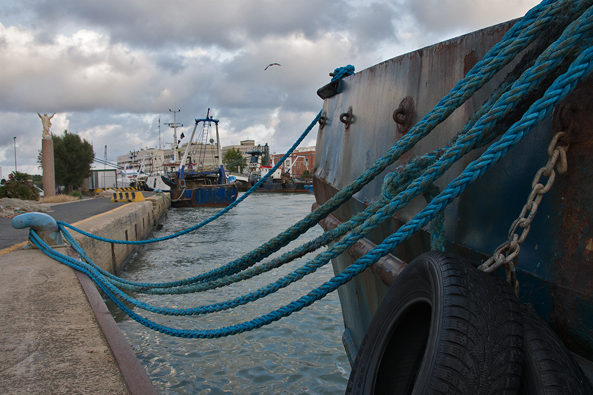 Scrimitore_DSC3644.jpg