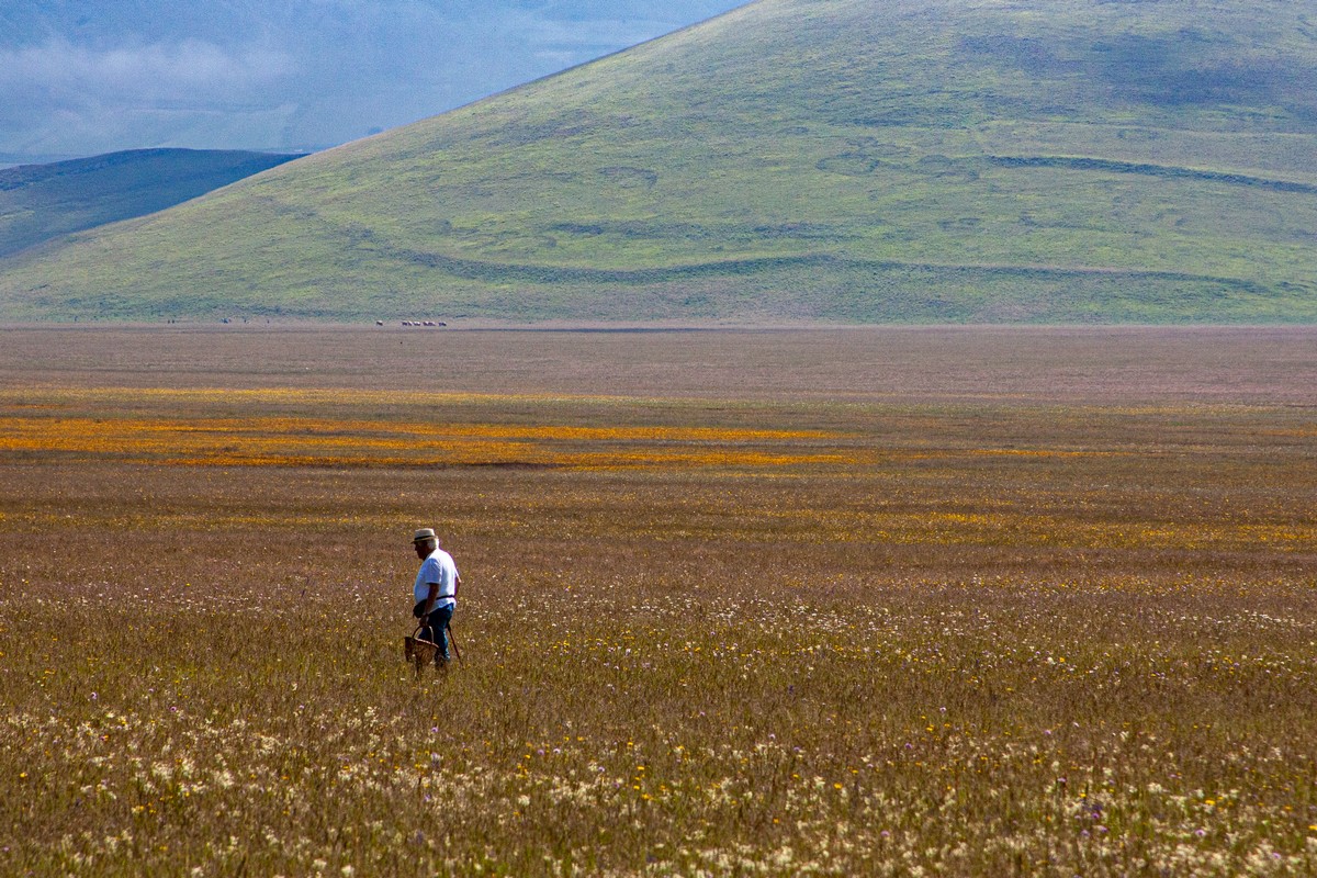 Aldorasi_Edvige_3_L_uomo-e-Castelluccio.jpg