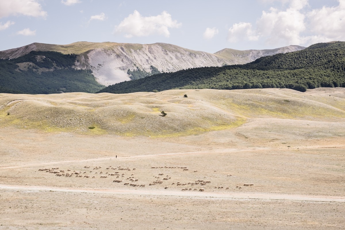 amme_farcomeni_giuseppe_06_transumanza.jpg