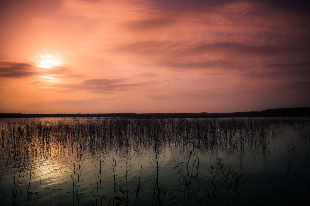segn_Lombardo_Ilario_5_Lago-di-Biviere_libro.jpg