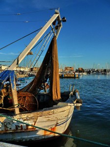 Reti al sole
