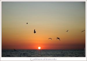 Gabbiani al tramonto