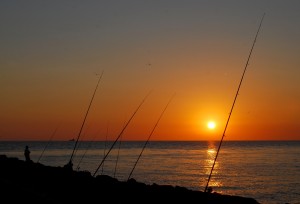 Foto di Dario Coppola
