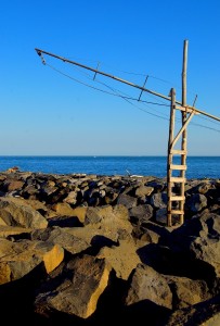 Foto di Dario Coppola
