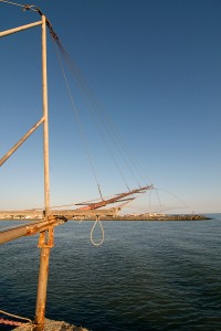 Verso la foce (7)