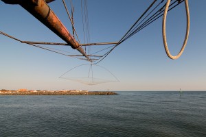 Verso la foce (8)