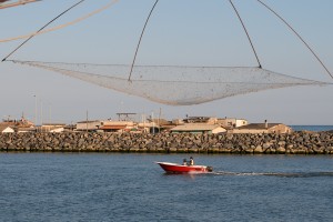 Verso la foce (10)