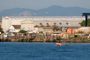 Verso la foce (11)