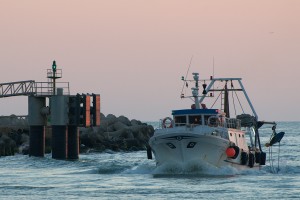 Rientro dal mare  (16)