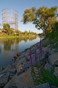 Gasometro e dintorni (14)