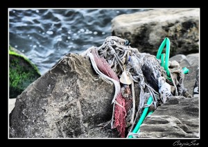 Reti e non solo