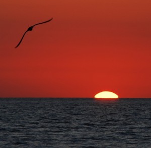 Foto di Dario Coppola