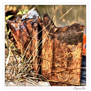 Rust 1