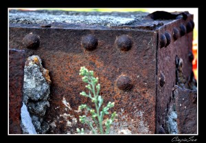 rust2