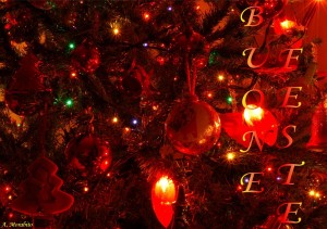 Cartolina 2