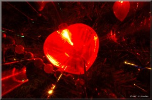 Cartolina 3