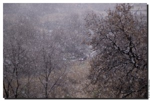 La neve nella Valle dei Casali