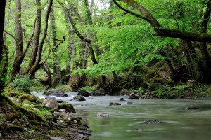 Nell'intimo della natura riscopriamo il nostro io più profondo.