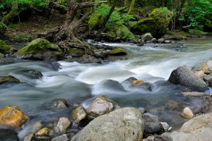 il mormorio del torrente montano