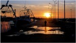 Foto di Ben Tari
