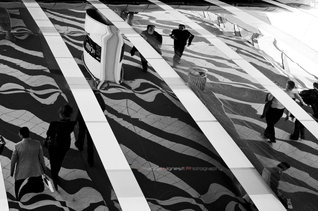 Viceversa Expò Roma - riflesso
