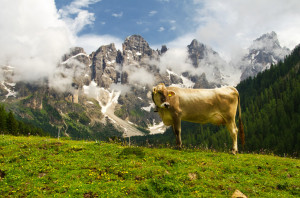 anche io sono... bellezza