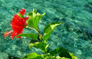 bellezza3
