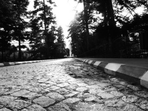 Viale