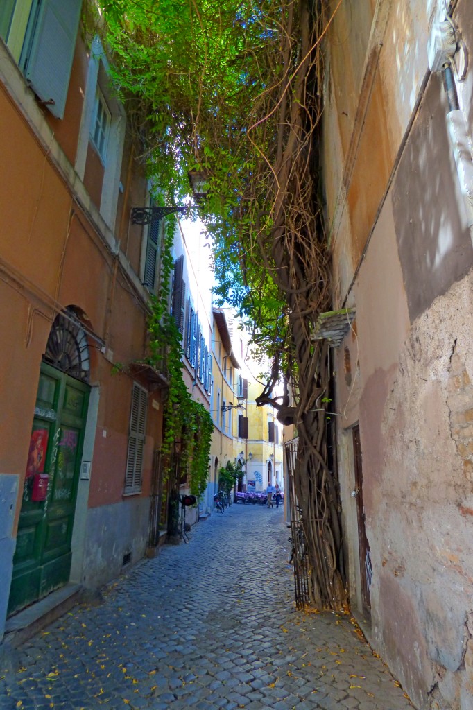 Cortile.3