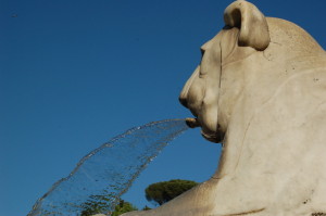 Geyser 1