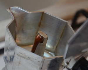 DSC_5646