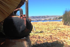 15--LAGO TITICACA 20-11-2015 15--LAGO TITICACA 20-11-2015 DSC_0121-2