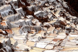 20--Maras saline 22-11-2015 20--Maras saline 22-11-2015 DSC_0296-BIS-2