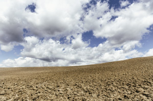Stato di assenza naturale 