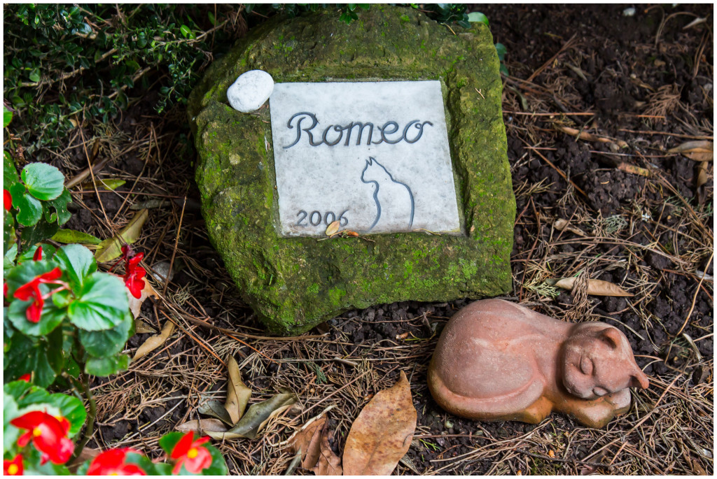 Romeo... Senza Parole