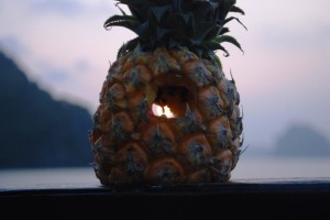06_halong_dsc_0502