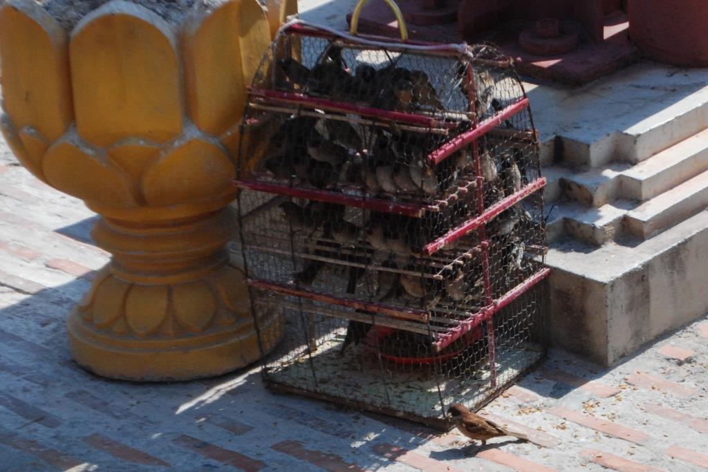 08_phnom-penh_dsc_0188