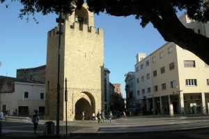11-sardegna-2017-oristano-dscn4608_c