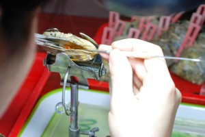 15_hoi-an_dsc_0536