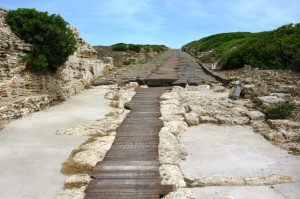 21-sardegna-2017-cabras-tharros-dscn4748_c