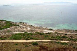 22-sardegna-2017-cabras-tharros-dscn4740_c