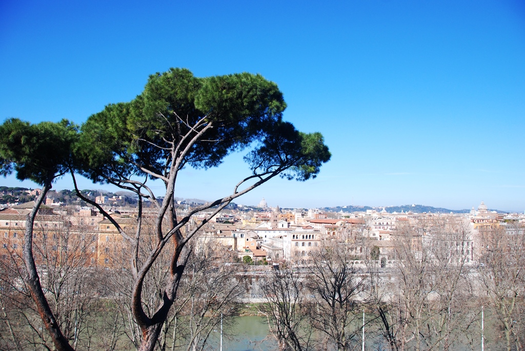 21-_-panorama-3_18_rm_16_2_2019