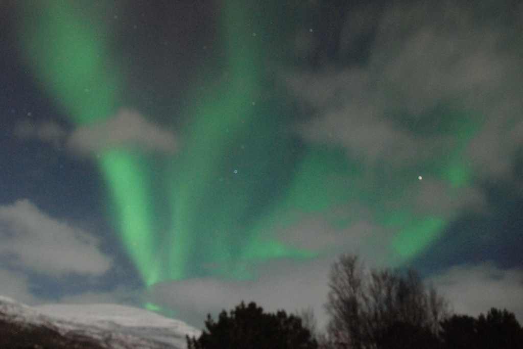 09-_-aurora-boreale-16_3_2019 09-_-aurora-boreale-16_3_2019