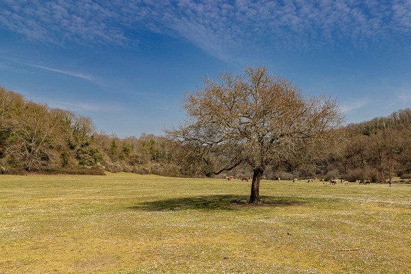 Scopri di più sull'articolo A spasso nel tempo (uscita valle del sorbo)