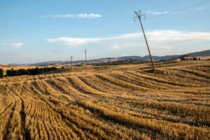 11-campo-allalba